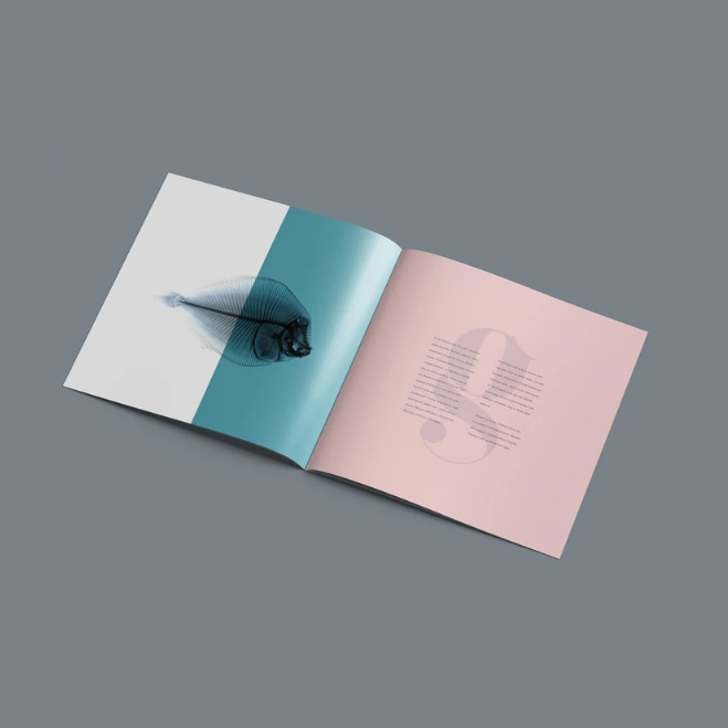 Product Catalog